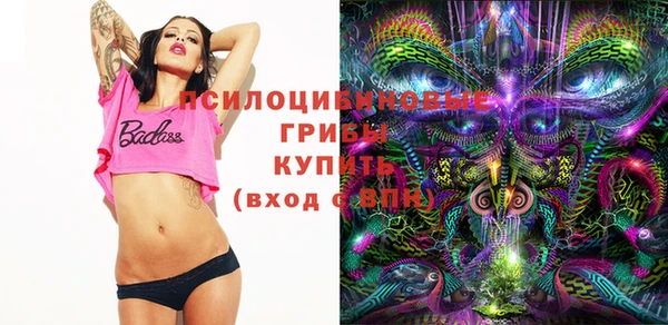 тгк Горняк