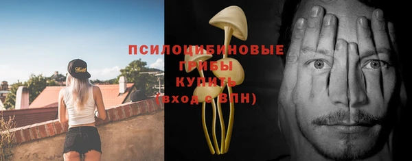 амф Горно-Алтайск