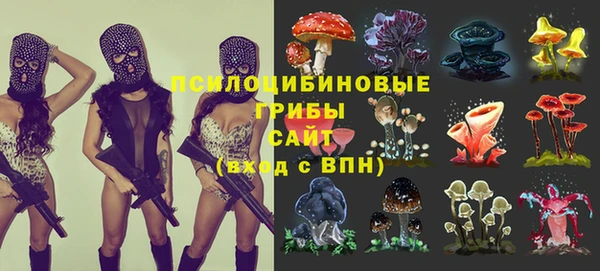 тгк Горняк