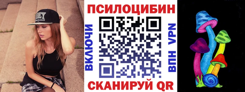 где купить наркоту  mega ТОР  Псилоцибиновые грибы Magic Shrooms  Петровск-Забайкальский 